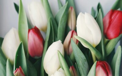 How to Make Your Flowers Last Longer at Home