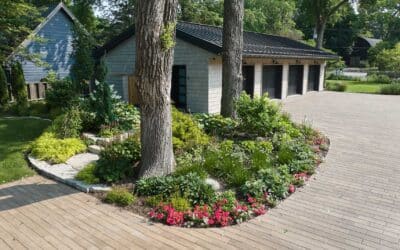 7 Low-Maintenance Backyard Landscaping Ideas