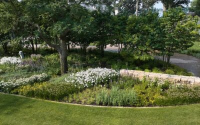 Achieve Stunning Results with Professional Landscaping Services