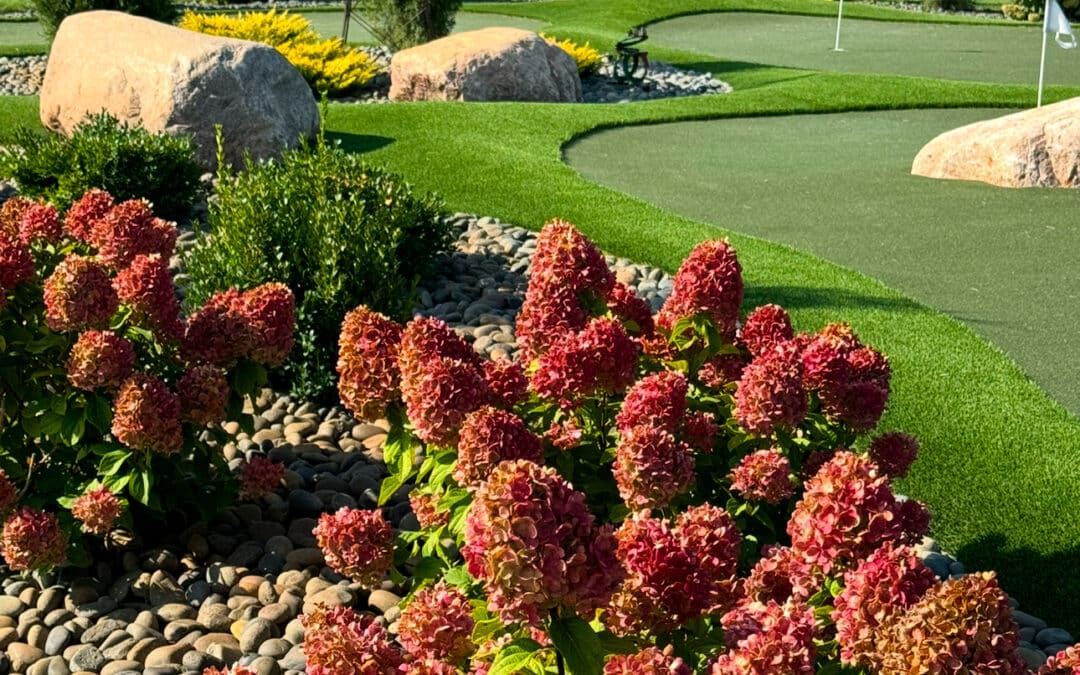 8 Modern Ideas That Could Help Inspire Your Dream Backyard
