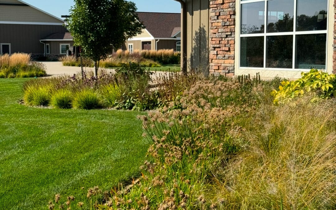 How to Find the Right Landscaping Company