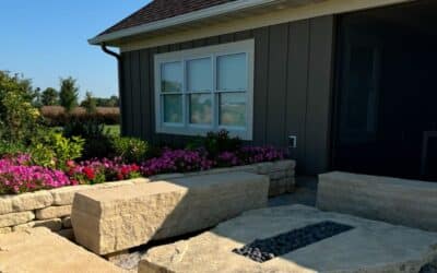 How to Know Whether Your Garden Is Getting Enough Sun