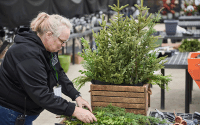 Landscaping Ideas & Trends That Look Beautiful in Winter