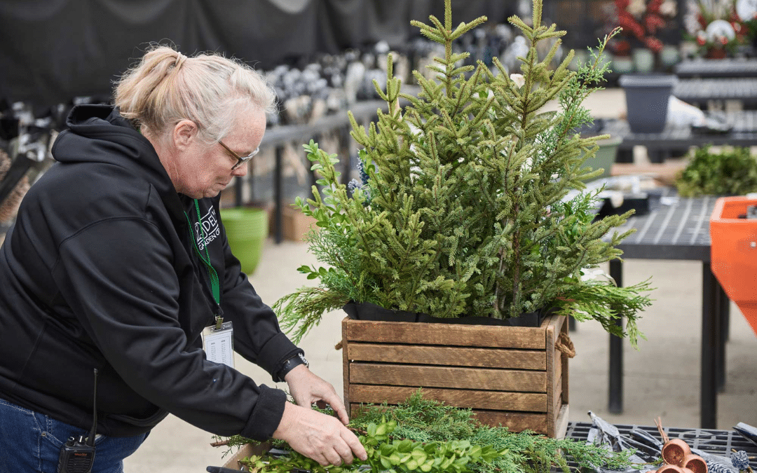 Landscaping Ideas & Trends That Look Beautiful in Winter