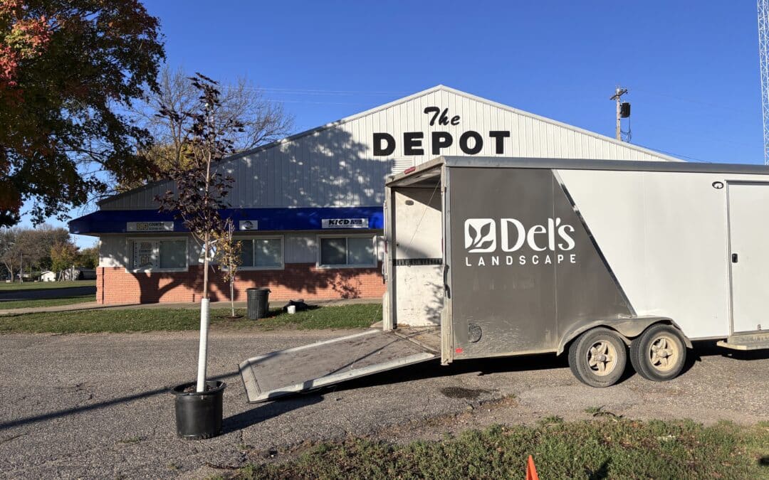 Plant the Future: How Your Gift Can Grow Shade, Beauty, and Community